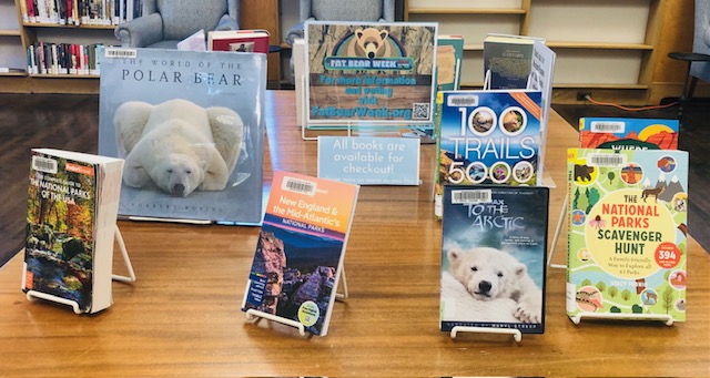 Fat Bear Book Display