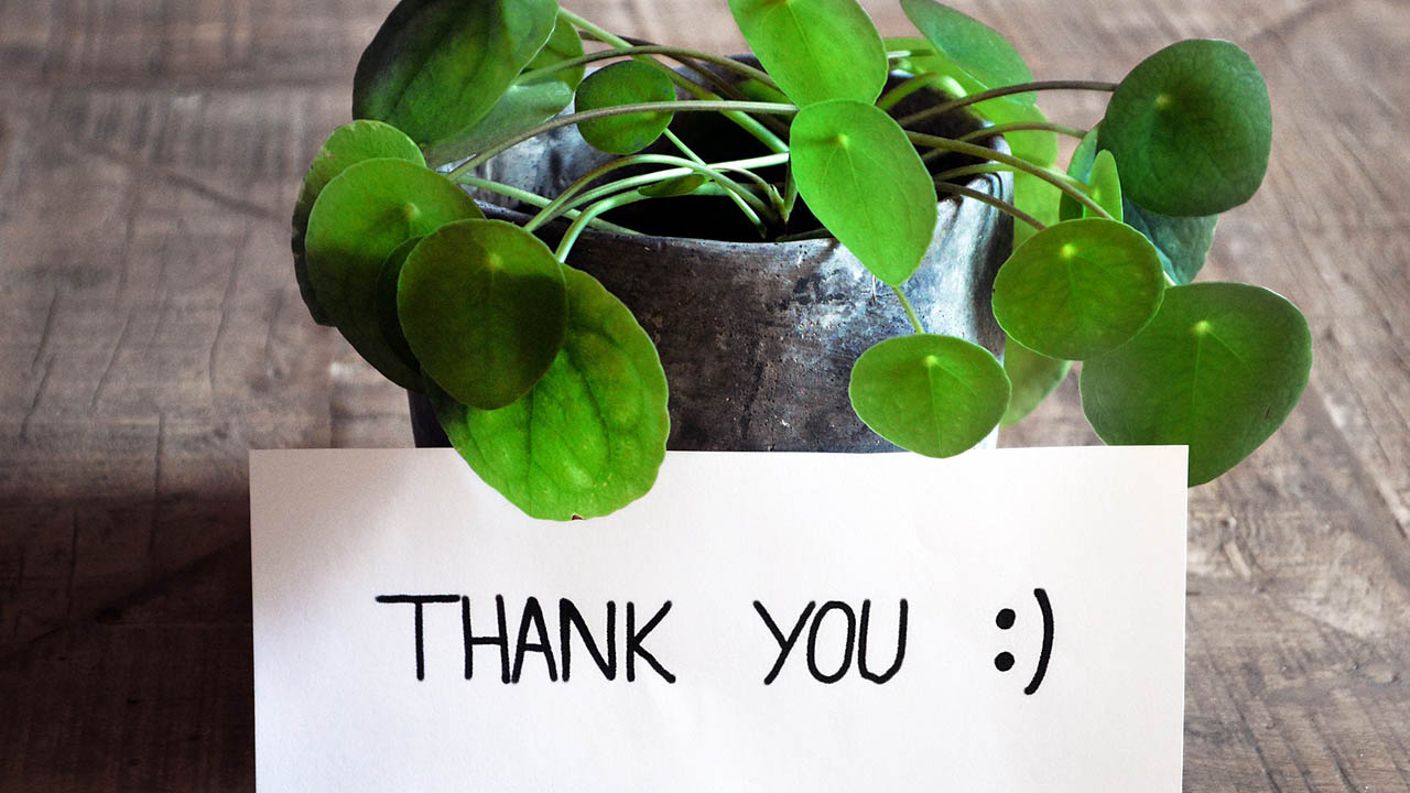 potted plant and thank you note