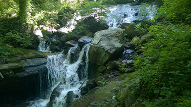 Happiness is Amicalola Falls