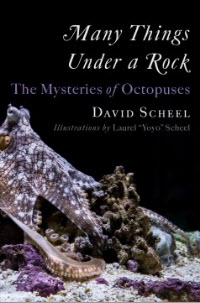 Order a copy of Many Things Under a Rock