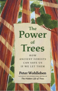 Hold a copy of The Power of Trees