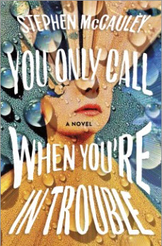 You Only Call When You’re in Trouble by Stephen McCauley