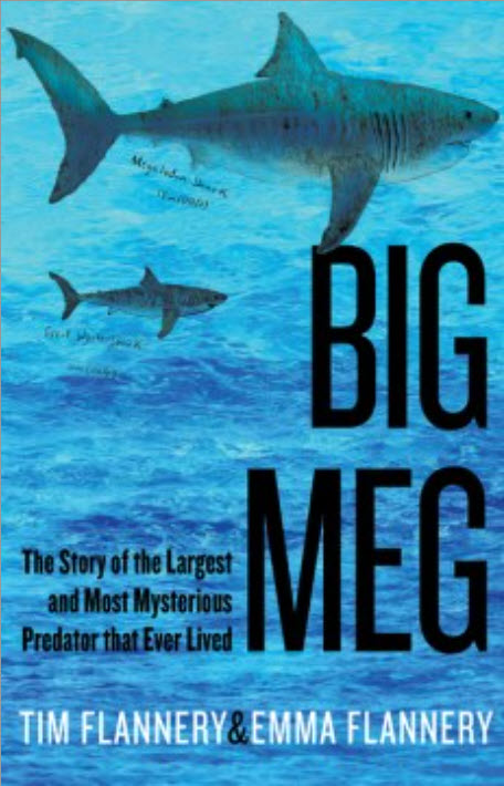 Big Meg: The Story of the Largest and Most Mysterious Predator That Ever Lived by Tim Flannery & Emma Flannery