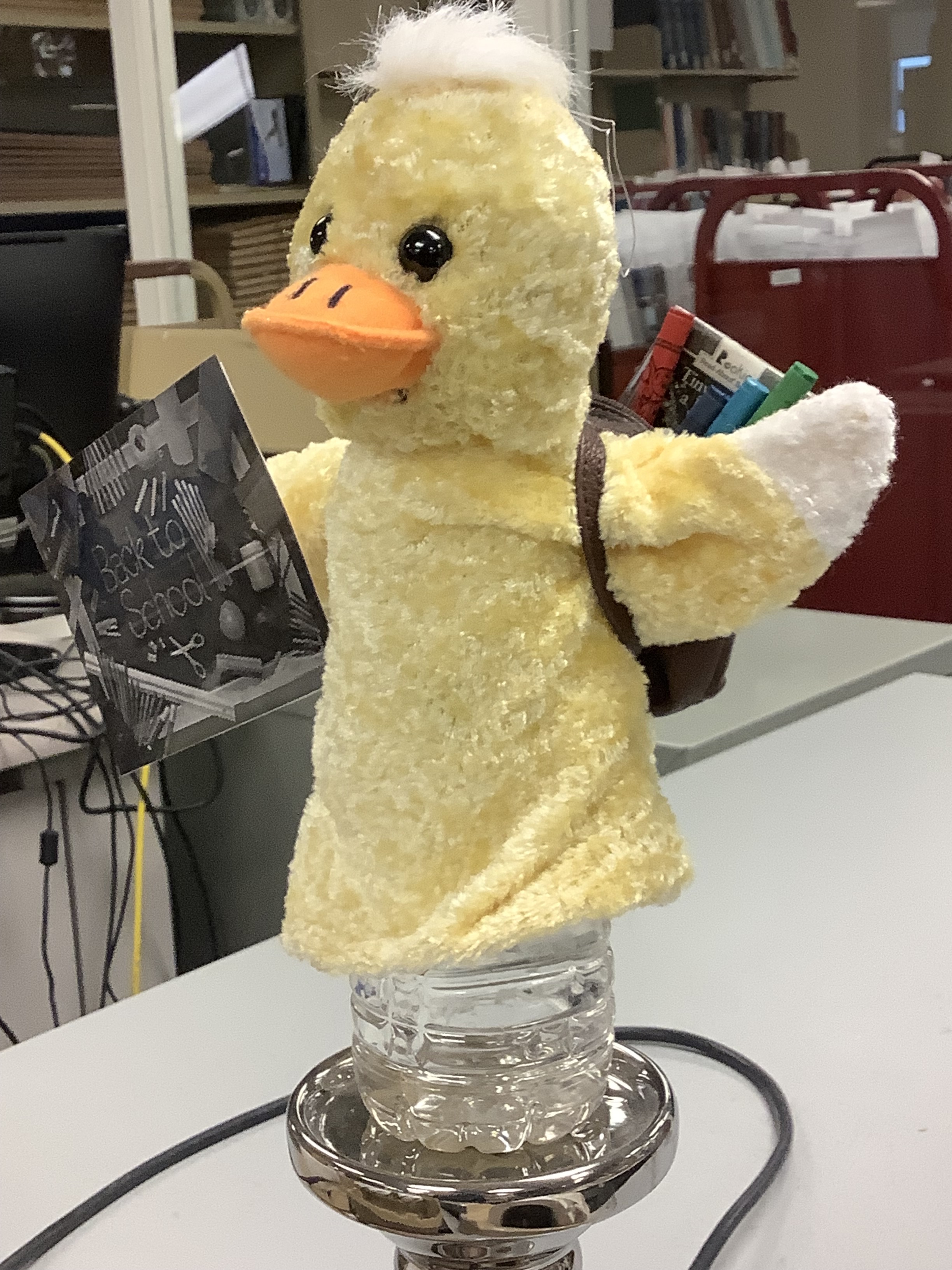 A duck puppet wearing a backpack full of books