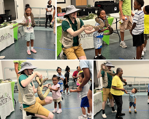 Collage: three children grin while handling a snake, while one grandmother looks shocked to have a snake put over her shoulders as her toddler looks delighted