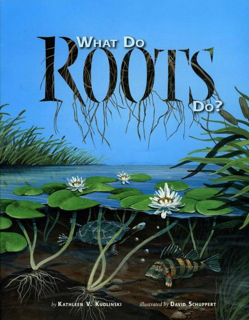 cover of What Do Roots Do? by Kathleen V. Kudlinski