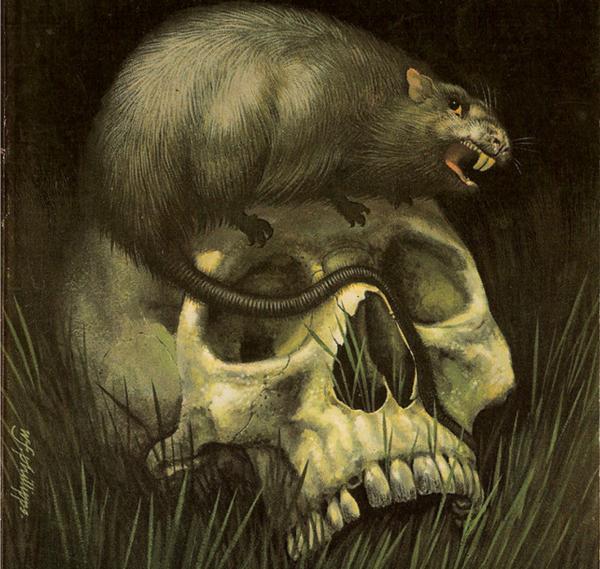 After Hours Horror Stories