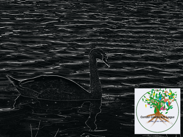 CCAL Workshop: Scratchboard