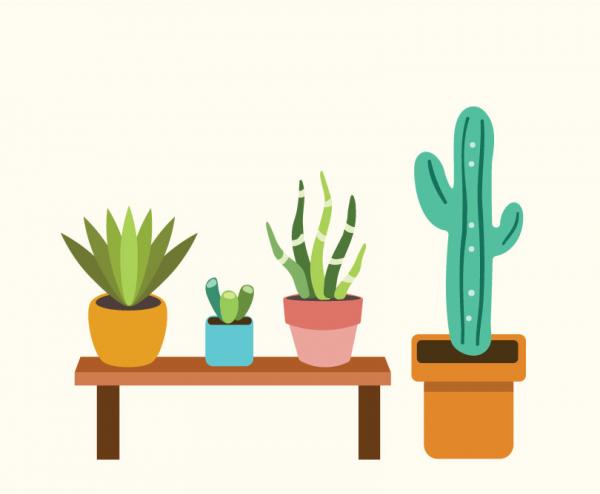 Image for Intro to Digital Drawing with Adobe Illustrator