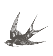 View full image