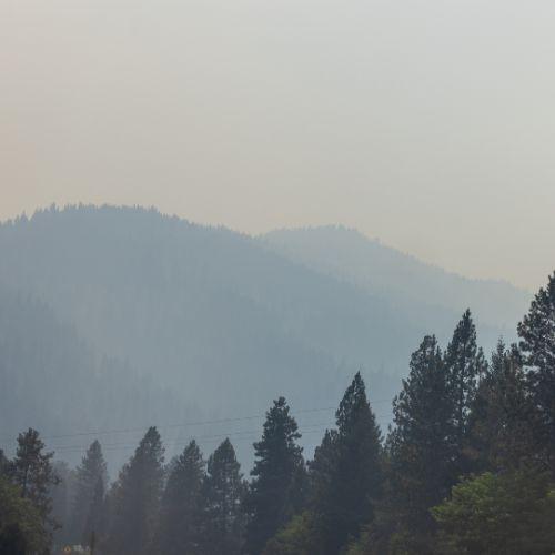 View full image