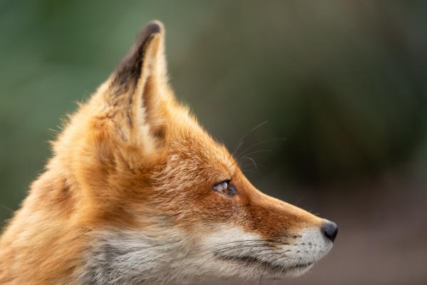 View full image