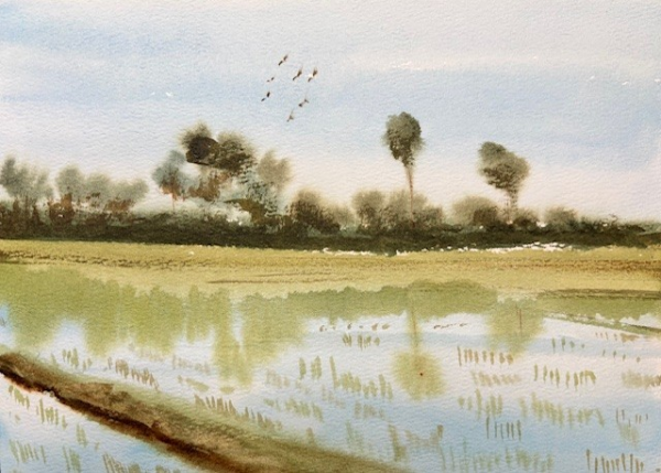 View full image
